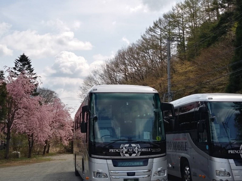 桜　バスツアー